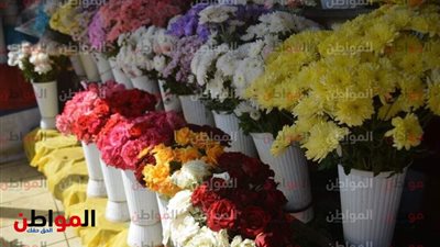 أسعار الورد في مصر أغلى من اللحمة.. كيف بدأت المهنة وأين وصلت ؟ 