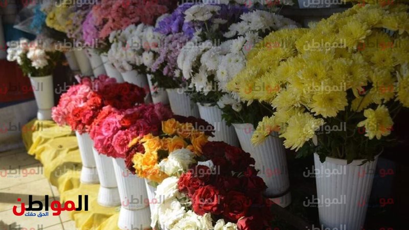 أسعار الورد في مصر