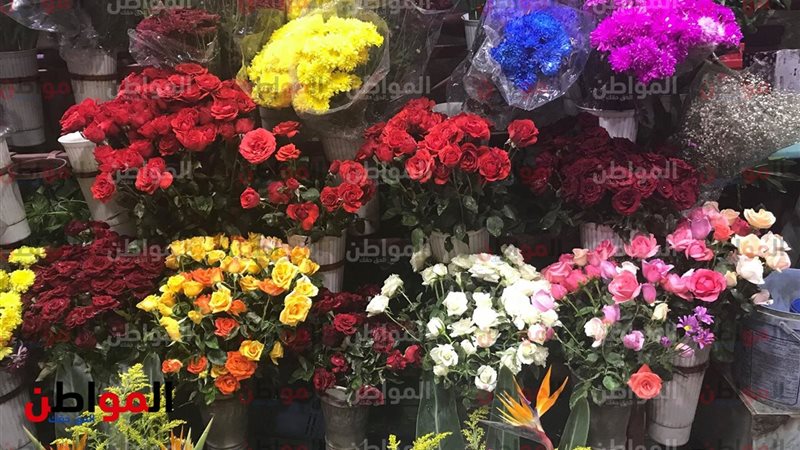 عيد الحب المصرى