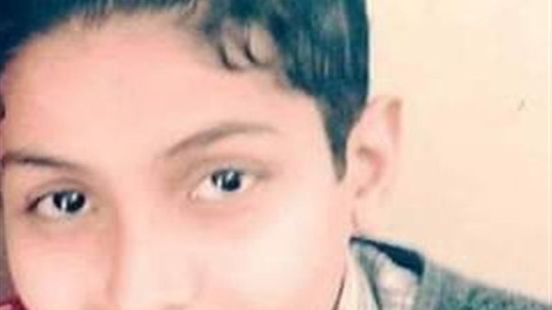 المواطن
