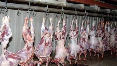 ضبط 290 كيلو لحوم غير صالحة للاستهلاك الآدمي ببني سويف