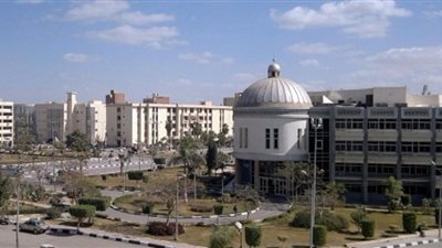 انفوجراف| شروط الحصول على جائزة أفضل رسالة علمية بجامعة الفيوم