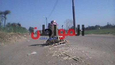 صور.. أهالى الإصلاح بالبلينا يستغيثون: هبوط أرضي يلتهم السيارات