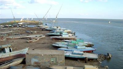 انتظام حركة الصيد بميناء البرلس