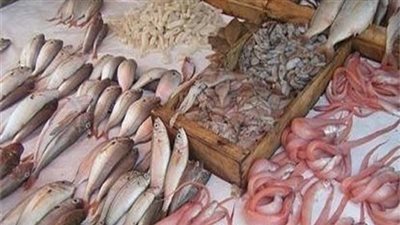 تعرف على أسعار السمك اليوم الخميس  8 نوفمبر 2018