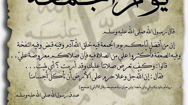 نصائح غالية للمسلم