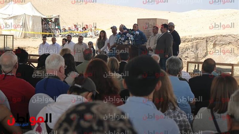 الدكتور مصطفي وزيرى