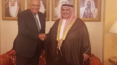 هذا ما تناقش فيه شكري مع نظيره البحريني في المنامة