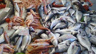 مشروع بركة غليون: طرح منتجاتنا قريبا عن طريق منافذ جهاز مشروعات الخدمة الوطنية 