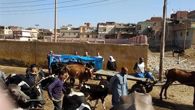 قافلة بيطرية لحزب مستقبل وطن بمركز ديرب نجم في الشرقية