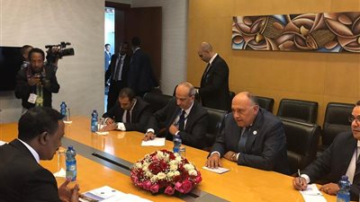 تفاصيل اجتماع وزير الخارجية مع نظيره الإثيوبي 