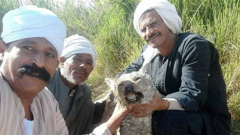 ألفاظ احتكرها أهل