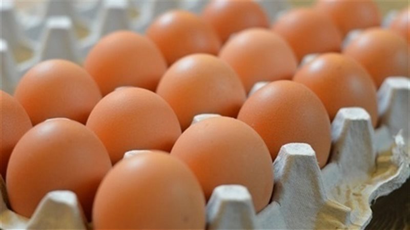 أسعار البيض في الأسواق