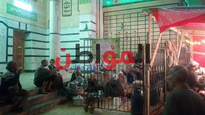 فيديو.. هذه طقوس أهالي البحيرة للاحتفال بالمولد النبوي الشريف