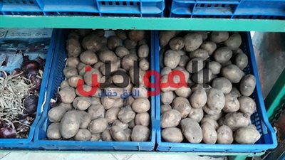 صور.. أسعار الخضروات والفاكهة بأسواق كفر الشيخ اليوم الجمعة.. تعرف عليها