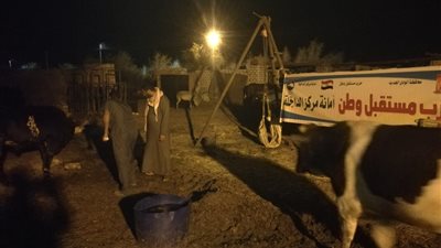 صور.. مستقبل وطن ينظم قافلة بيطرية لمزارعي الموهوب في الوادي الجديد