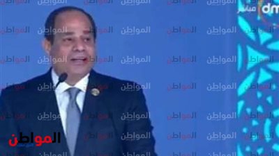 السيسي: مصر وضعت دستورًا قويًا للحفاظ على البيئة