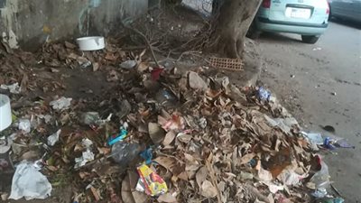صور| رفع إشغالات الطرق ومخلفات القمامة بحي المعادي