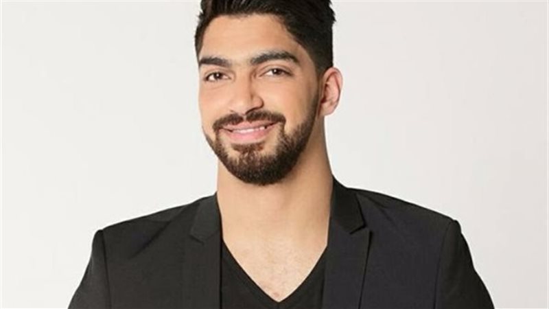 الفنان مينا عطا 