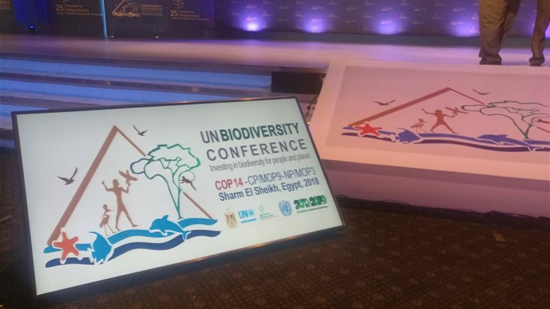 شرم الشيخ تستعد لمؤتمر