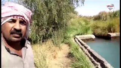فيديو| ساعات الري وحصة المياه.. تضع المزارع الواحاتي في مأزق