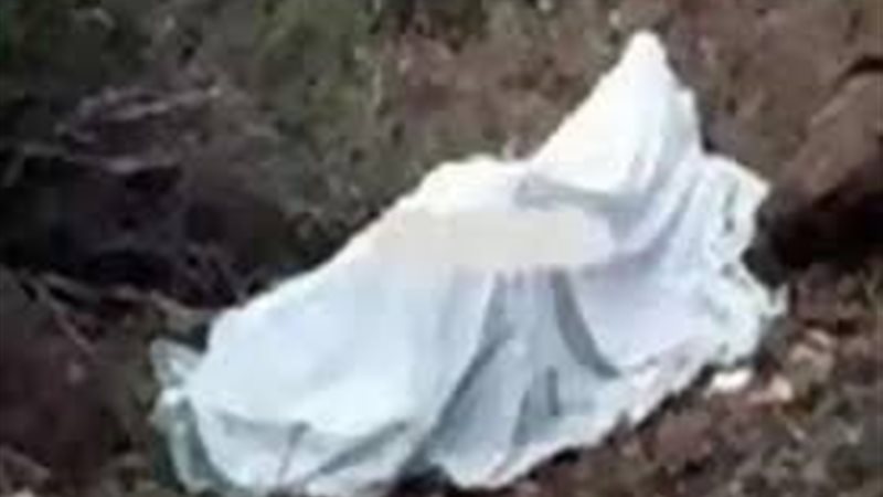 صورة أرشيفية -فل