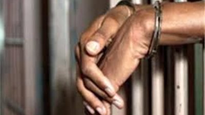 نيابة البساتين| تجديد حبس هجام الشقق 15 يوم على ذمة التحقيقات 