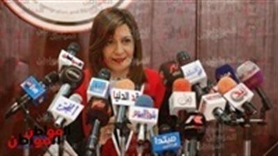 نبيلة مكرم تلتقي سفير السعودية بالقاهرة