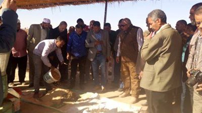 صور.. الوادي الجديد تبدأ التوسع في مشروعات الصوب وإنتاج الأسمدة من المخلفات
