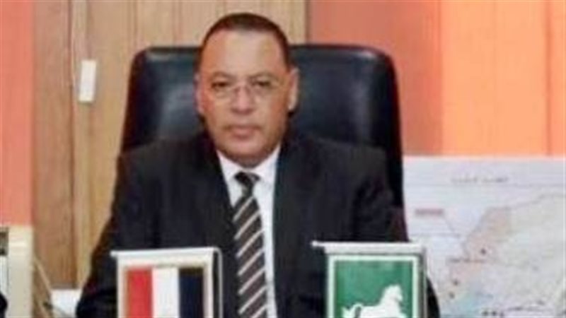 محافظ الشرقية