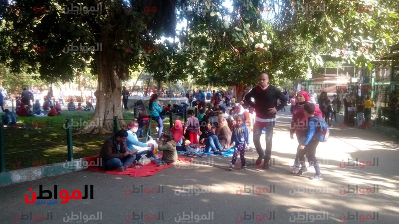 المحشي أساسيات المواطنين