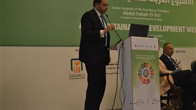 عمرو حسن يكشف محاور الاستراتيجية القومية للسكان