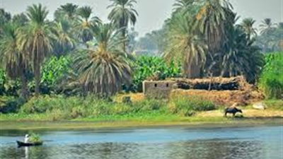 اعتدال في درجات الحرارة بالفيوم اليوم