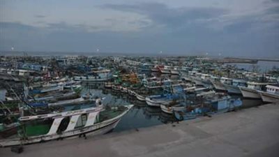 سقوط أمطار غزيرة على مدن ومراكز كفر الشيخ