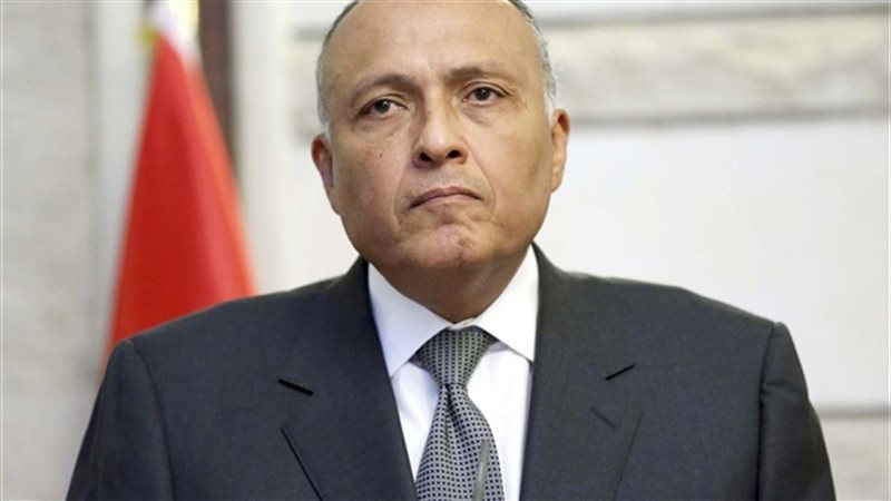 وزير الخارجية سامح
