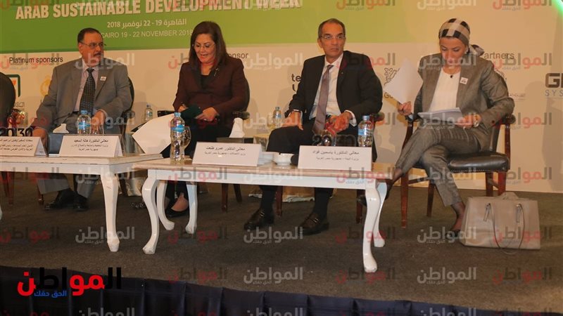 ياسمين فؤاد وزيرة