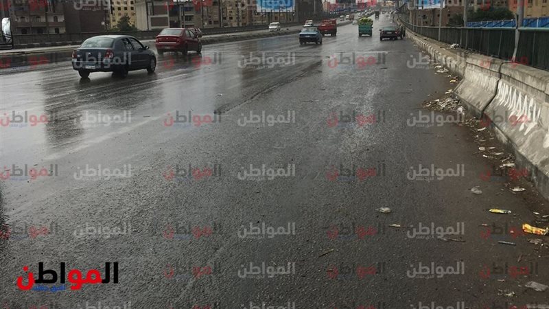 المواطن