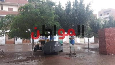 صور.. عقب سقوط أمطار غزيرة.. محافظ الشرقية يرفع حالة الاستعداد القصوى