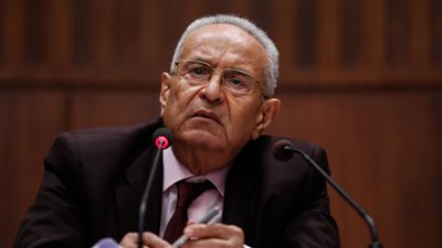 رئيس حزب الوفد: بيت الأمة دخله الرفاعية لإخراج الثعابين