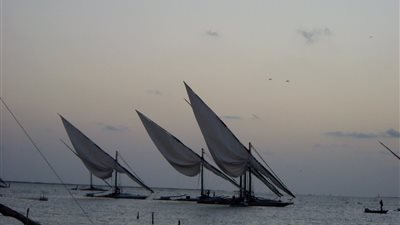 استئناف حركة الصيد ببحيرة البرلس بعد تحسن الأحوال الجوية