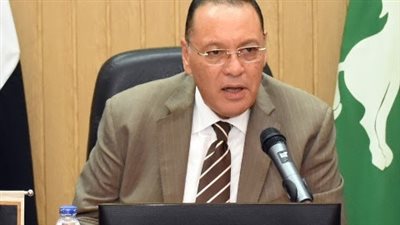 محافظ الشرقية يحيل واقعة نفوق ماشيتين صعقاً بالكهرباء بهربيط للنيابة