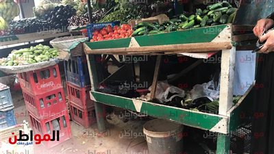 صور .. رصد أسعار الخضراوات اليوم الأحد 25 نوفمبر