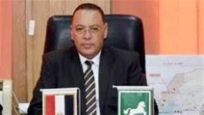 محافظ الشرقية يكافئ مديرة وحدة طب الأسرة بأنشاص الرمل