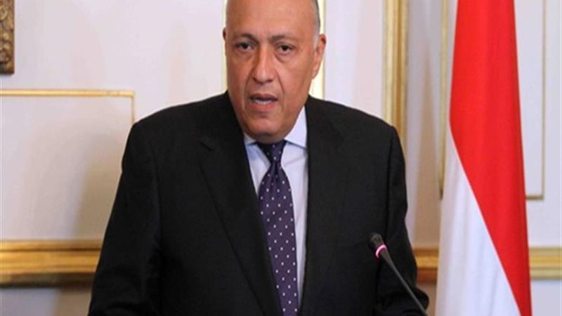 وزير الخارجية 