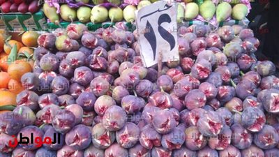 صور| تعرف على أسعار الفاكهة 