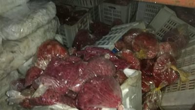 9 صور ترصد .. ضبط طن ونص اسماك فاسدة داخل مطعم شهير بالقاهرة