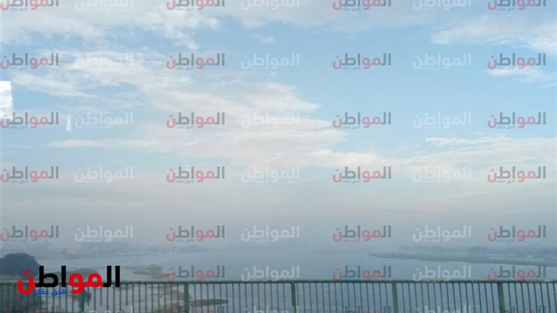 المواطن