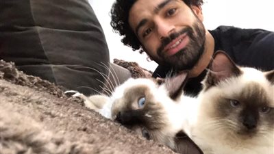 محمد صلاح خارج الملعب.. منهمك في قضايا المجتمع 
