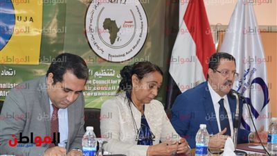 فيديو .. محمد إبراهيم ممثل وزارة الخارجية: السيسي يهتم بالقارة الإفريقية