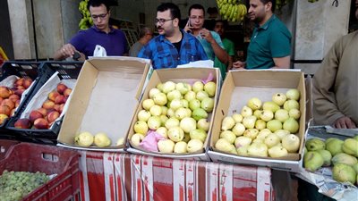 أسعار الفاكهة بأنواعها اليوم في أسواق الغربية.. تعرف عليها